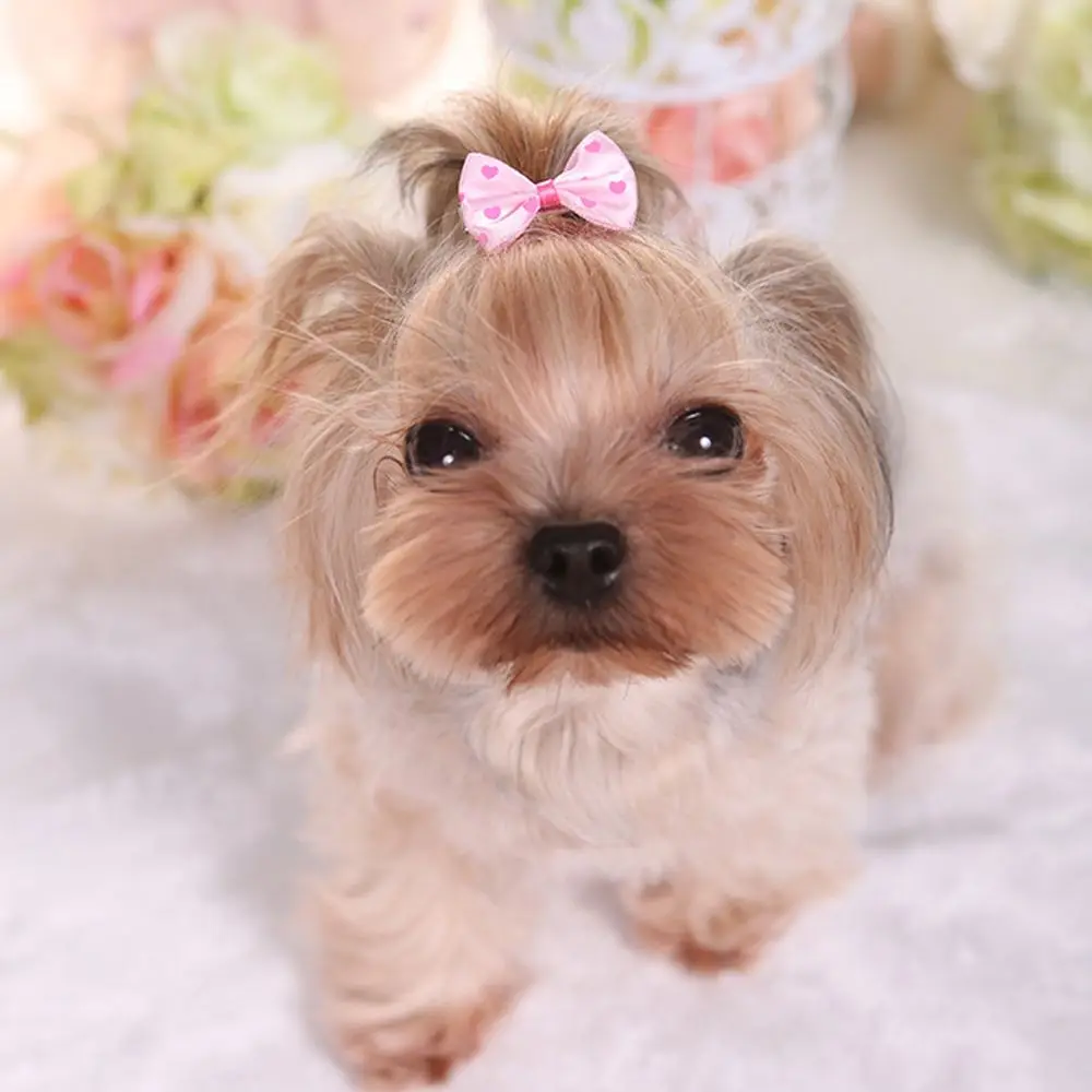 Sweet Bow Hair Clip For Dog