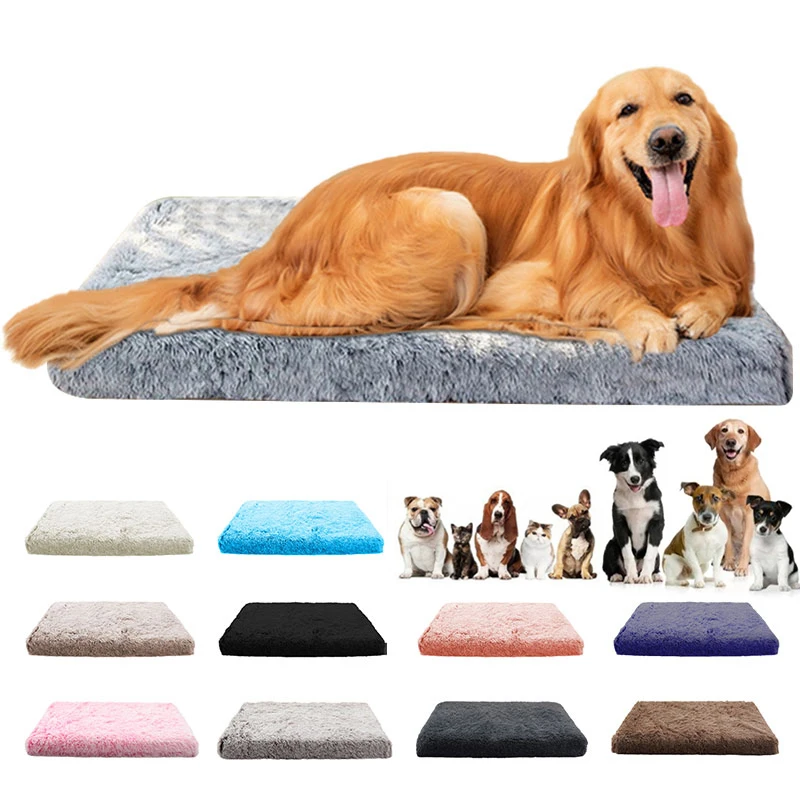 Gray Dog Supplies Large Therapeutic Dog Bed Things for Dogs Pets Dogs  Accessories Pet Cushion House Sofa Products Home Garden - AliExpress