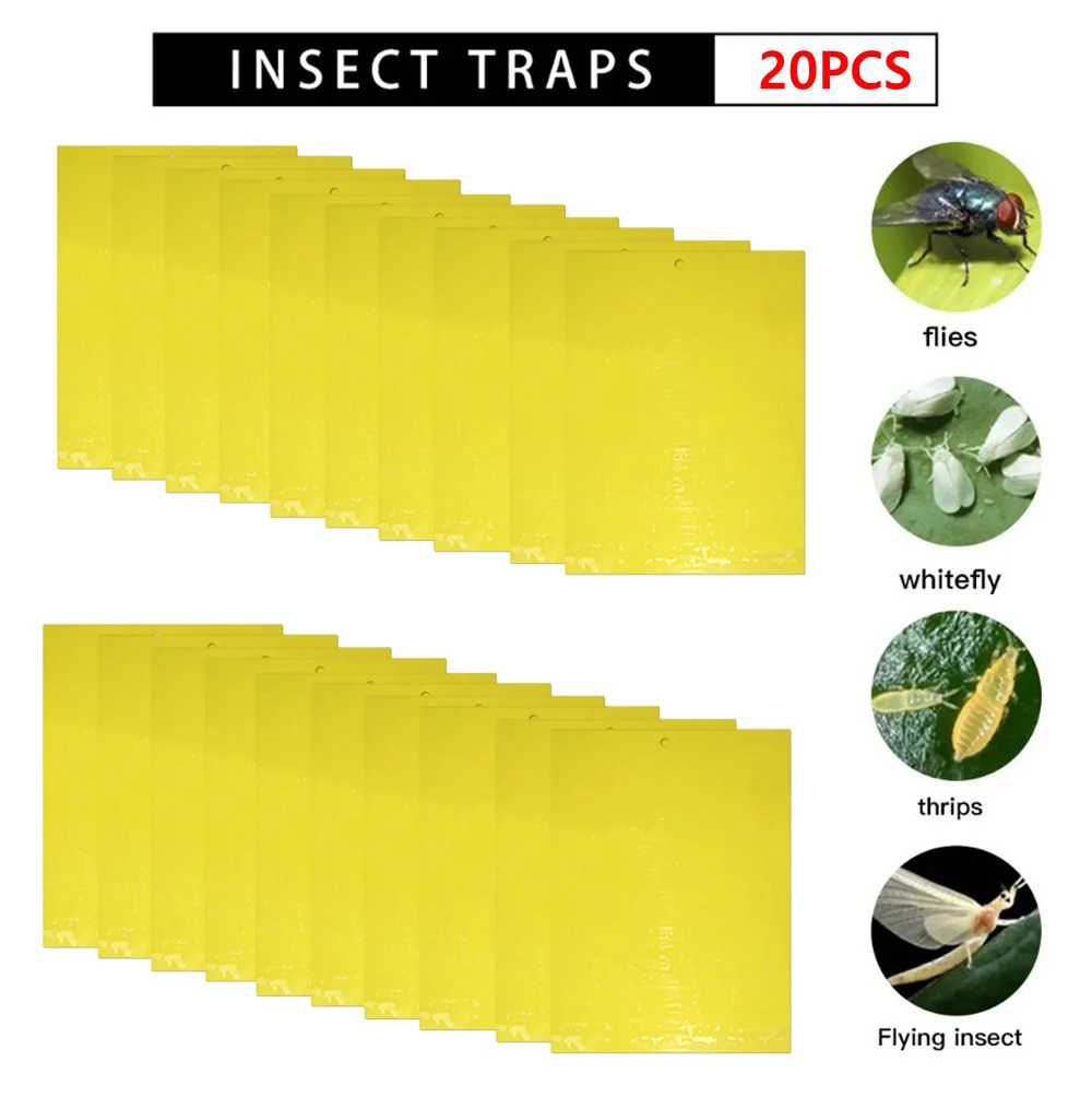 Paper-20pcs