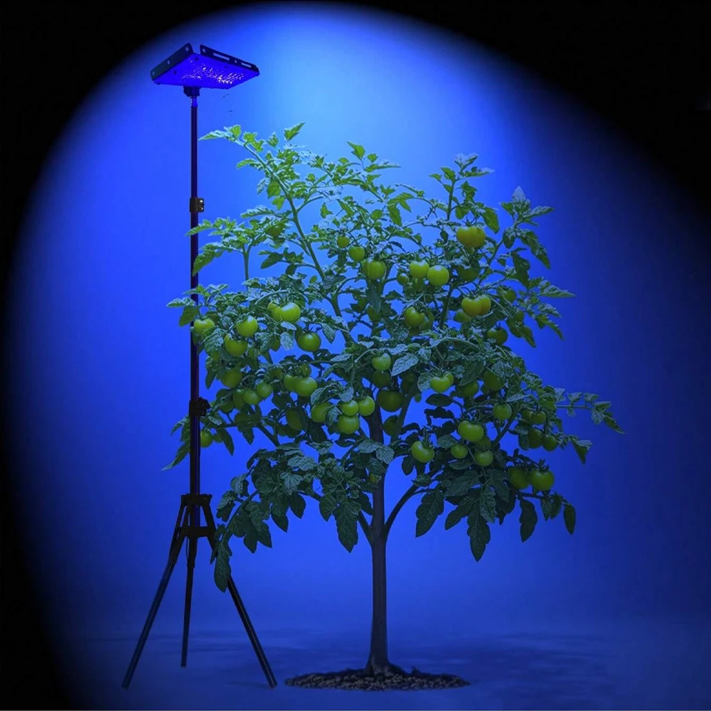 Grow Lights for Indoor Plants - Auto Timer & Adjustable Tripod Stand, Full Spectrum LED Plant Grow Lamp for Indoor Plant Growing
