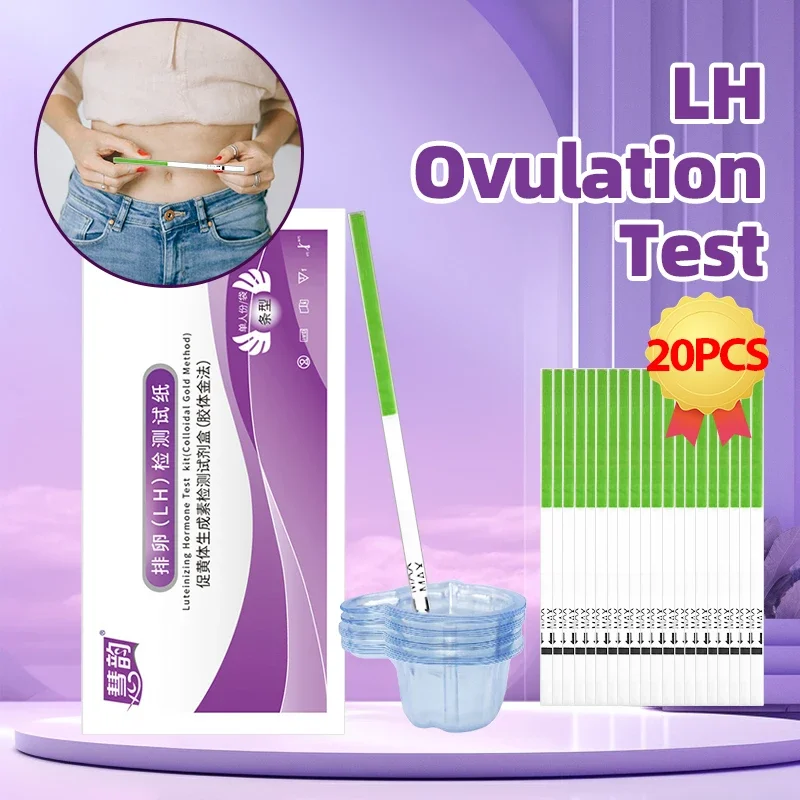 LH Ovulation Test Kit Luteinizing Hormone Testing Strips Over 99% Accuracy Female Urine Measuring Cup for Women 20pcs