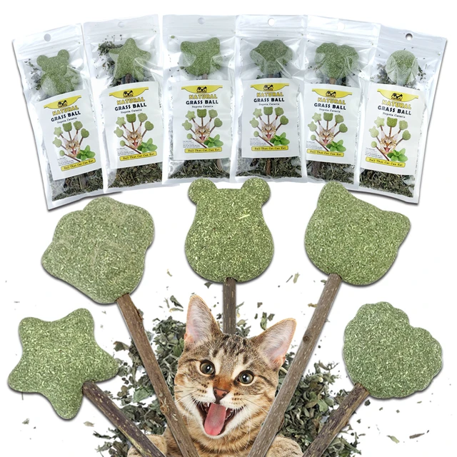 Jouets d'herbe à chat de forme fraîche pour animaux de compagnie, menthe  mignonne, sécurité naturelle, comestible, boule d'herbe à chat sucette,  dents propres - AliExpress