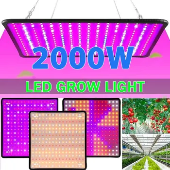 LED 식물 성장 조명, 전체 스펙트럼 수경 재배 램프, 식물 채소 꽃, 실내 초박형 패널, 식물 램프, 1000W, 2000W