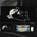 Cat-08