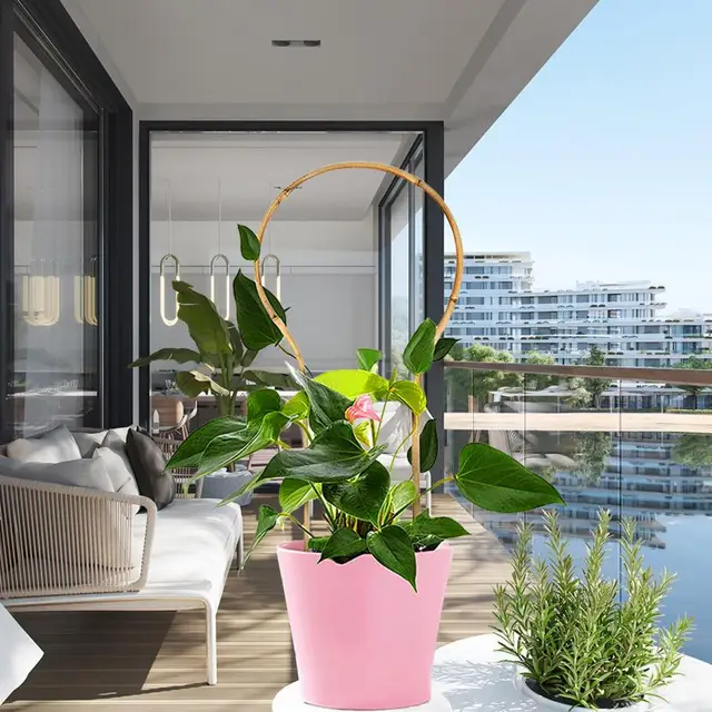 Nagyszerű Cserepes Növényi Támogatás Rugalmas 3 Stílusú Növény Támogatja A Kertészeti Virág Tét Tartós Hegymászó Üzem Otthon - Image 5