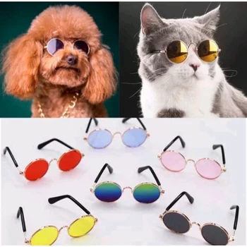Pet Sunglasses 1