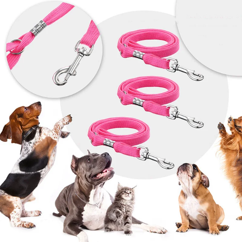 Color Pet Accessories Dog Collars Kit Leash Set Bag Rope Puppy Small  Leather - Collars, Harnesses & Leads - Aliexpress