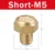 Short-M5
