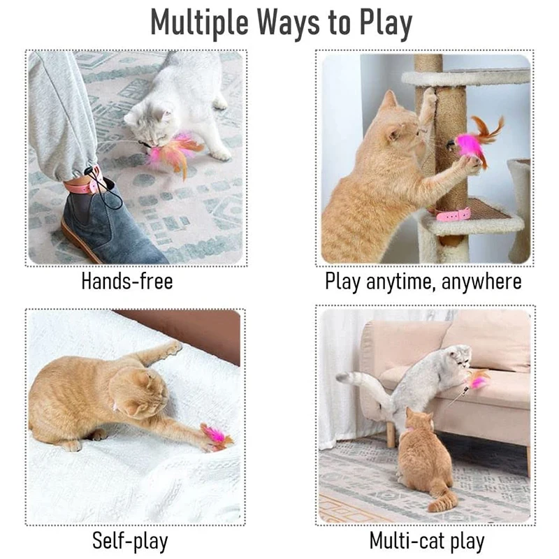 How to Teach Your Cat to Play Gently · The Wildest