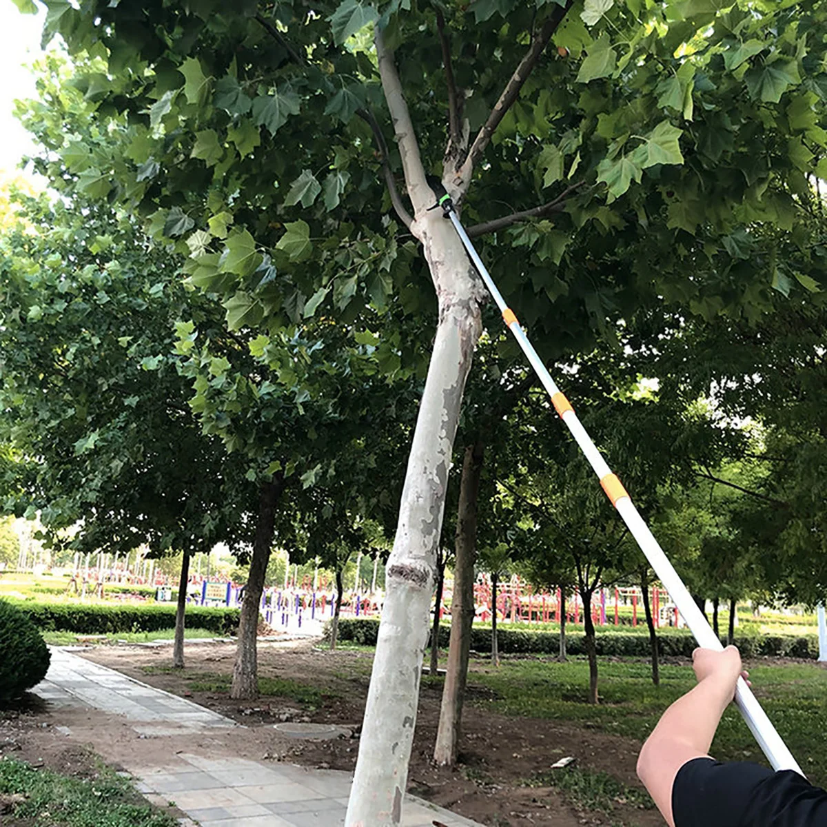 Slide image 6112b980f0b042069335d52393a56e78