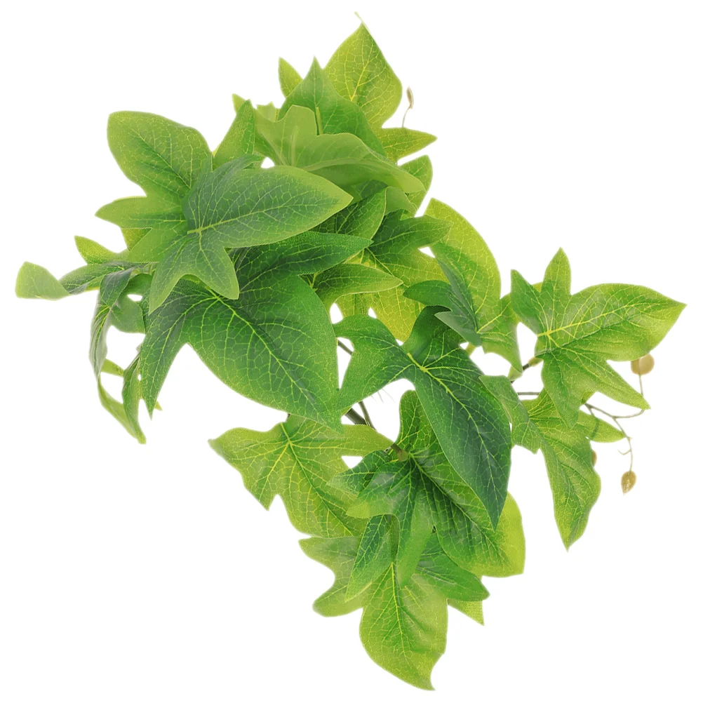 Рисунок 3 - Присоски для подвешивания растений