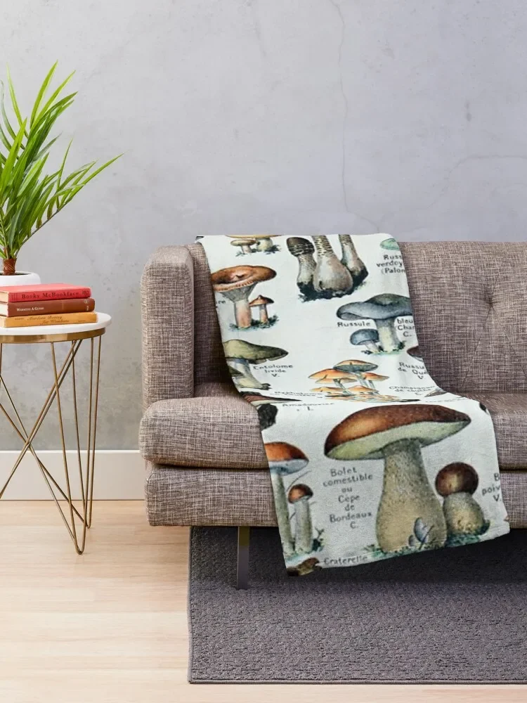 ��Ƽ�� ���� ������ ������ ���, ������ ��� �� ħ�� Ŀ�� ���, ����Ʈ ����