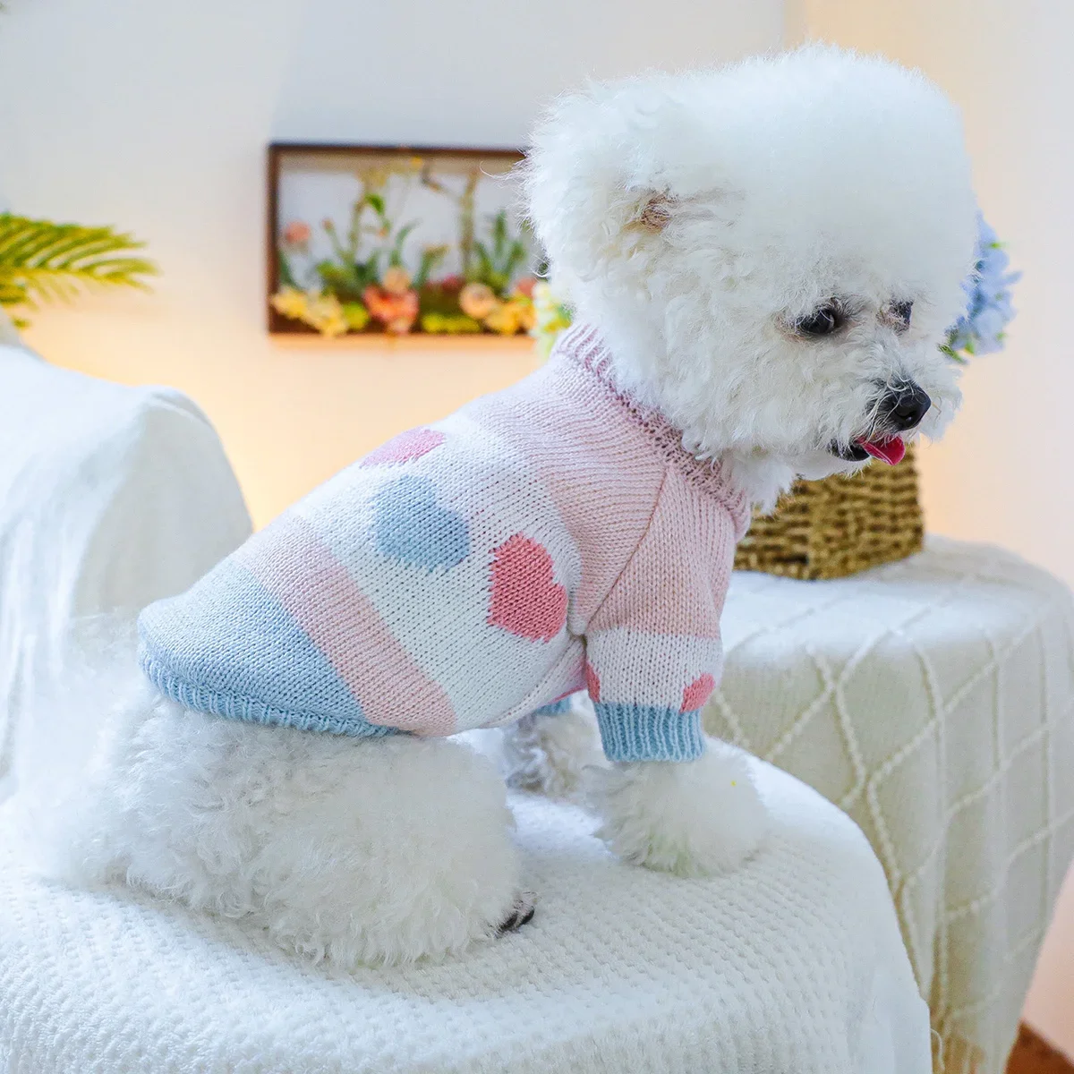 1PC 애완 동물 의류 봄과 가을 개 후드티 탄성 블루 핑크 러브 자카드 스웨터 소형 및 중형 개에게 적합