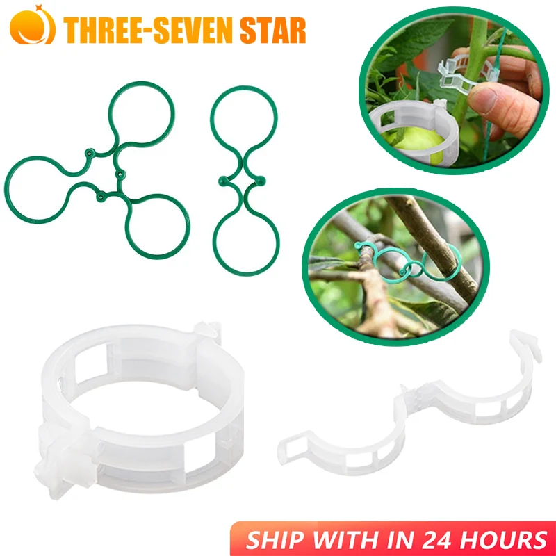 

Fixed Buckle Hook Plant Climbing Wall Self-Adhesive Fastener Tied Fixture Vine Buckle Hook Garden Vine Clips Plant Support Clips