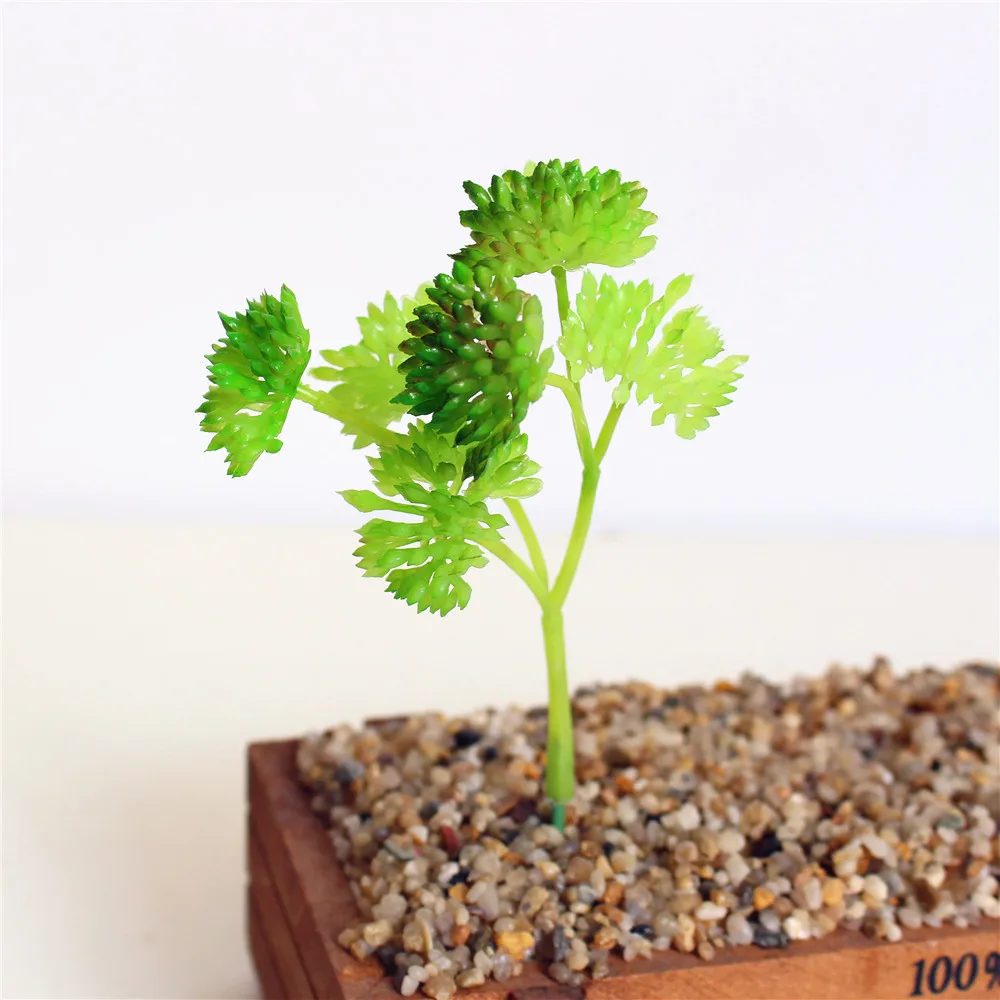 Colorful Mini Succulent Plant Set for DIY Wall Flower Arrangements