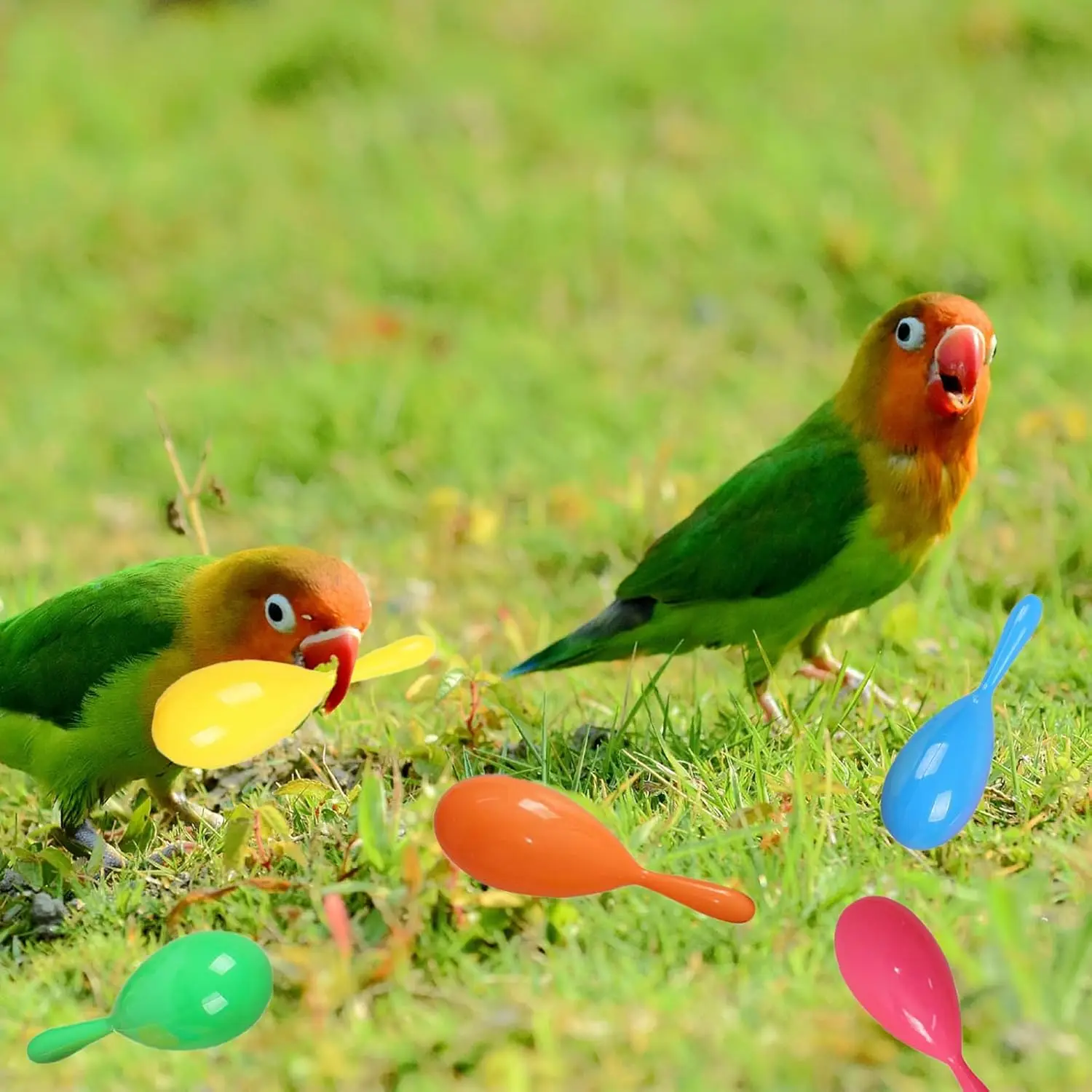 5Pcs Parrot Rattle Toy Funny Bell Toys Mini Sand Hammer Bird Parrot Toys for Chicken Bird Parakeet Cockatiel Budgies Love
