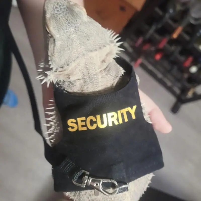 Lizard Leashes Bearded Dragon Adjustable Comfortable Leopard Gecko Leashes 4.76ft Reptile Harness Pet Safety Belt Vest Anti-Loss
