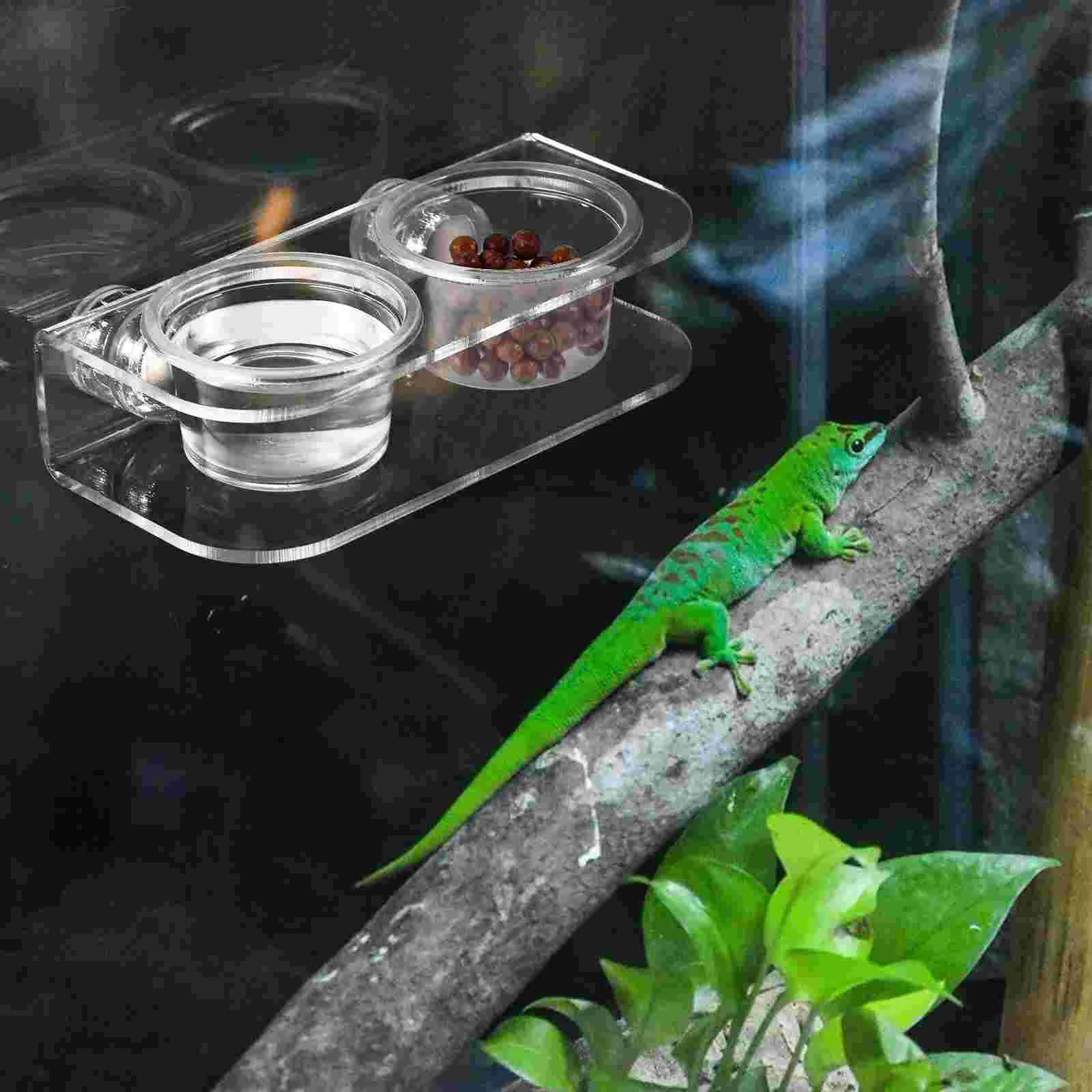 Reptile Feeding Ledge Magnetic Gecko Ledge Gecko Dish Feeding Ledge with 10 Bowls ReptileFeeder Cups Water Feeder for Geckos Iguana Pets