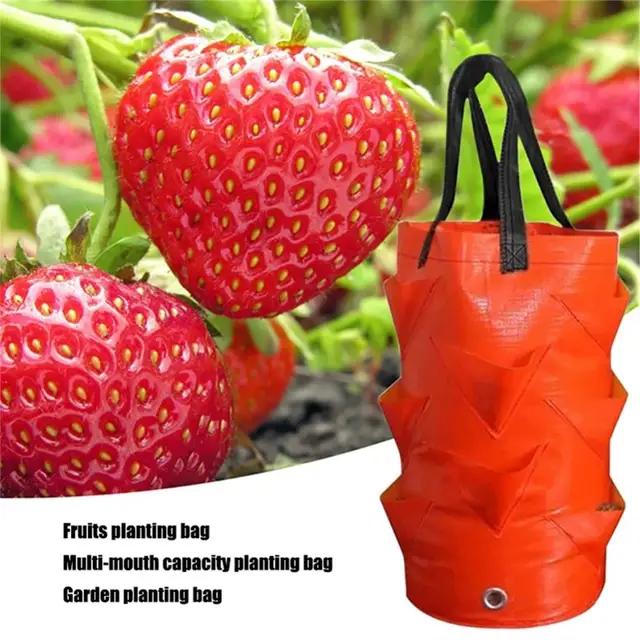 2022 Multi-Mouth Grow Táska 3 Gallon Hot Sell Strawberry Paradicsom Ültetési Táskák Újrahasznosítható Kertek Erkélyek Virág Gyógynövény Ültetvény - Image 5