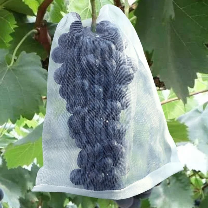 50/100PCS Grapes Garden Mesh Bags Fruit Protection Bags Agricultural Orchard Pest Control Anti-Bird Netting Vegetable Bags