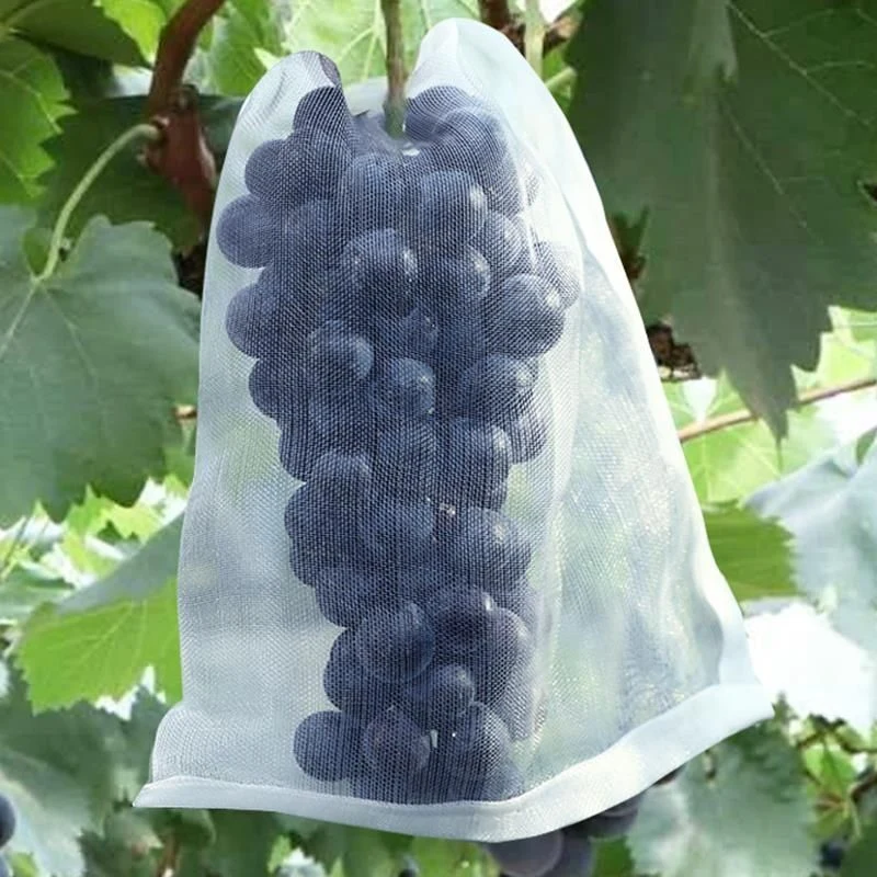 Grapes Garden Mesh Bags Fruit Protection Bags Agricultural Orchard Pest Control Anti-Bird Netting Vegetable 50 100PCS fruit protection bags