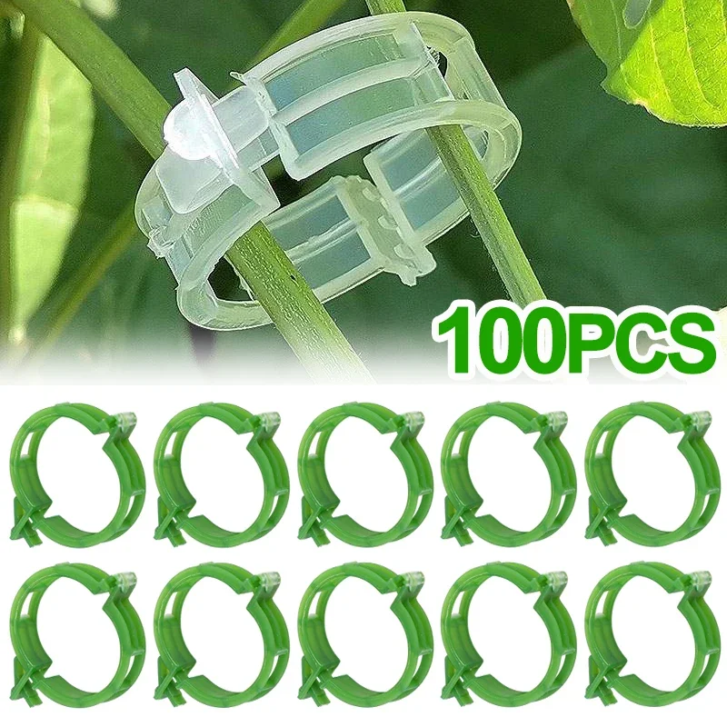 Plant Support Clips Plastic Buckle Hook Connects Reusable Tomato Vines Plant Clips Holder Grafting Fixing Tools Garden Supplies