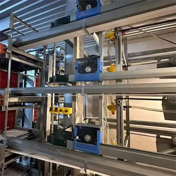 Chicken Cage Poultry Cage Large Intelligent Automatic Feeding Automatic Egg Collection with Egg Collection System 5