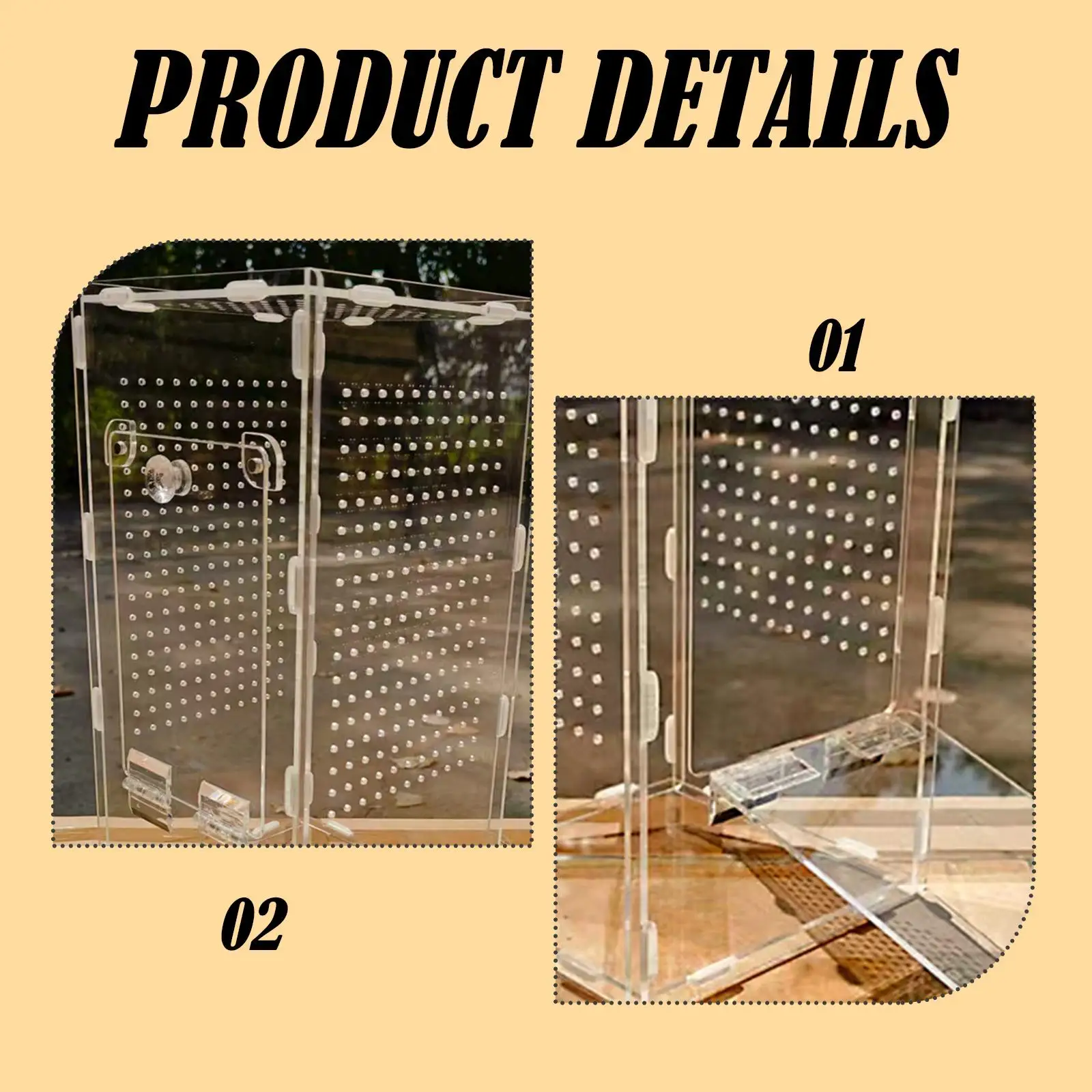 Acrylic Mantises Terrarium Clear Reptile Cage Vertical Habitat Container for Spiders and Pets