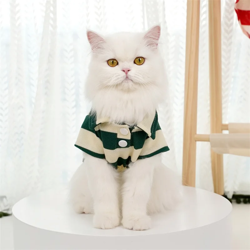 S50d6f4385c5d44da9ecff0de8e62e832G