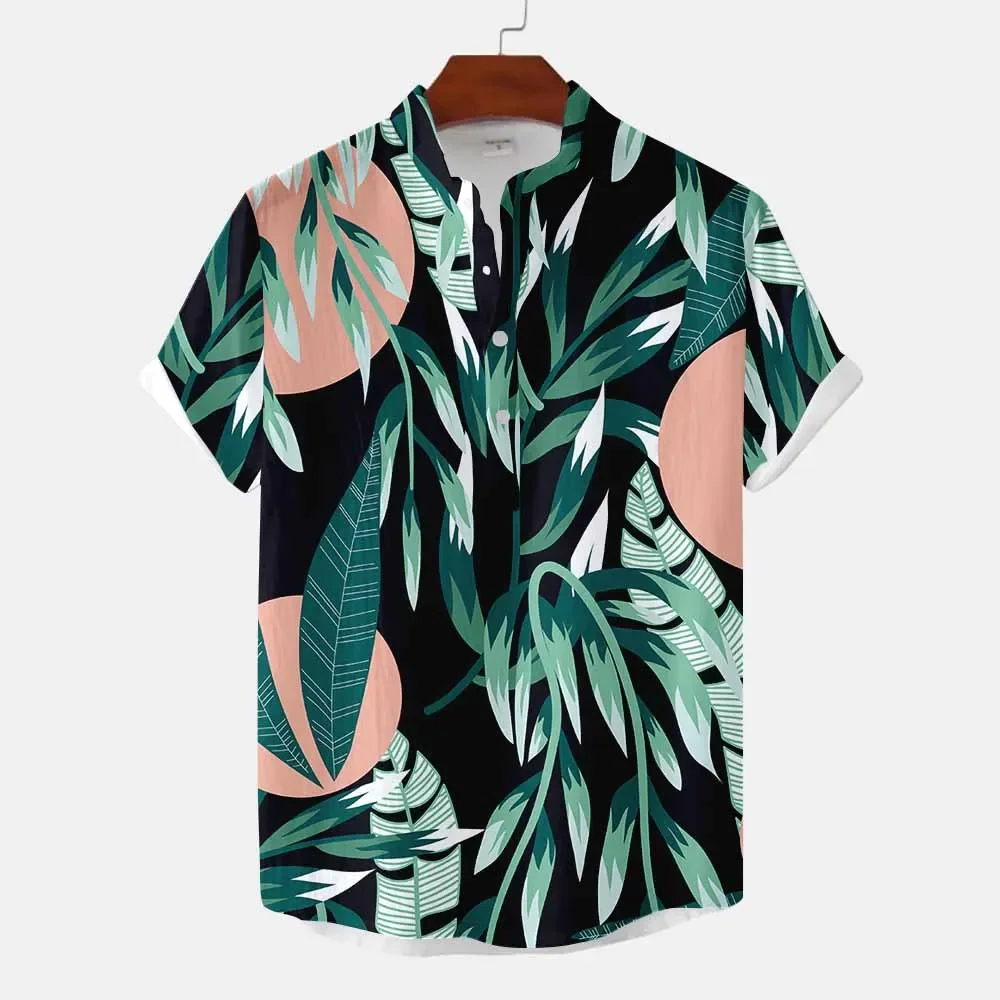 Рисунок 4 - Новейшая Классическая Гавайская