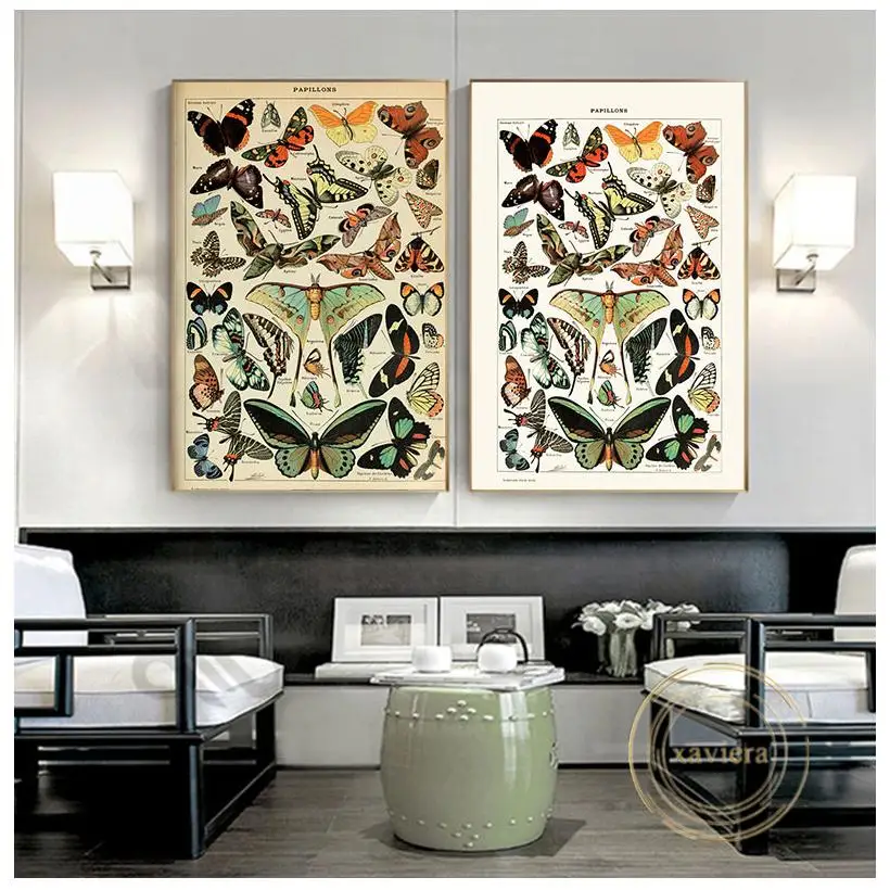 

Antique Butterfly Vintage Canvas Painting Insect Kind Nature Education Posters and Prints Wall Art Pictures for Classroom Decor