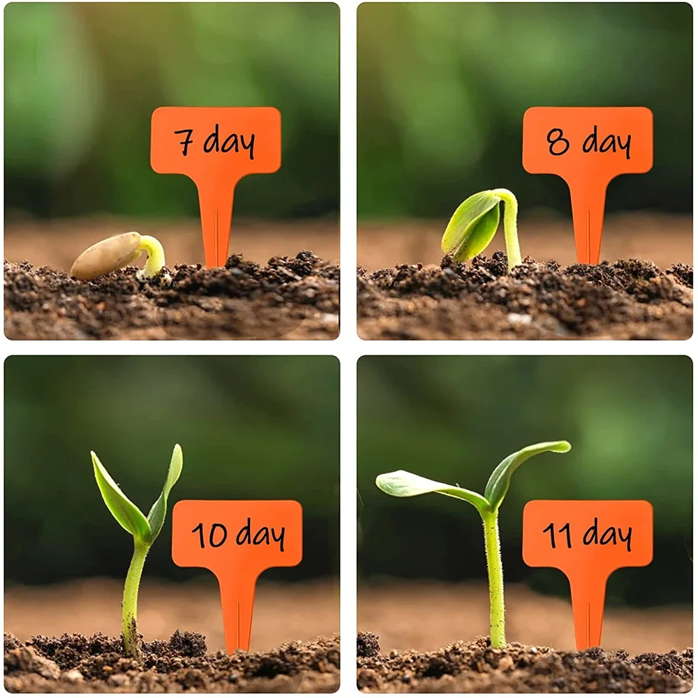 30Pcs T-Shape Plastic Waterproof Garden Labels for Plants Markers Garden Tools 10CM With Pen garden labels
