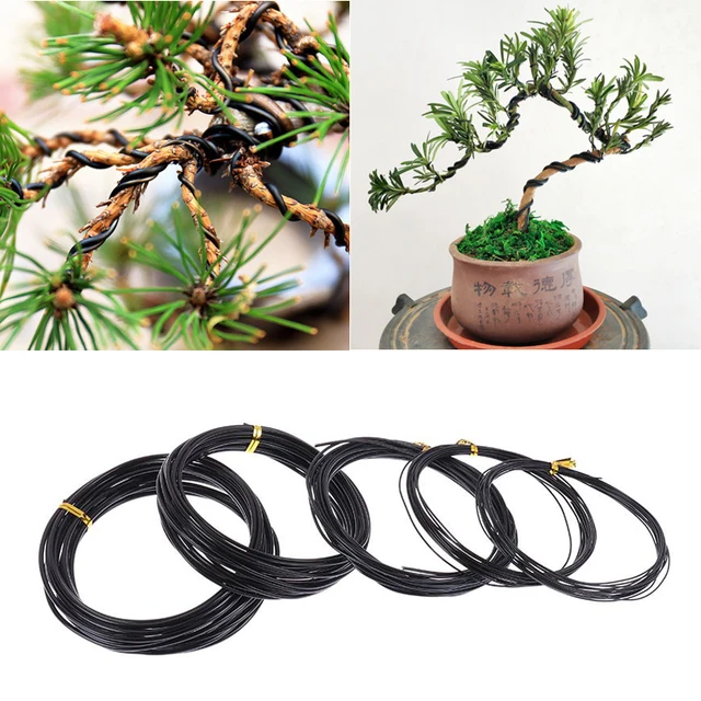 Összesen 5 M (Fekete) Bonsai Huzal Eloxált Alumínium Edzőhuzal, Méret (1,0 Mm, 1,5 2,0 2,5 3 Mm) Növényi Formákhoz