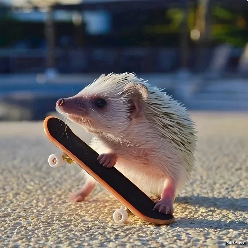 Anti-Slip Frosted Skateboard Toy for Hamsters-Fun & Safe Small Pet Playtime!