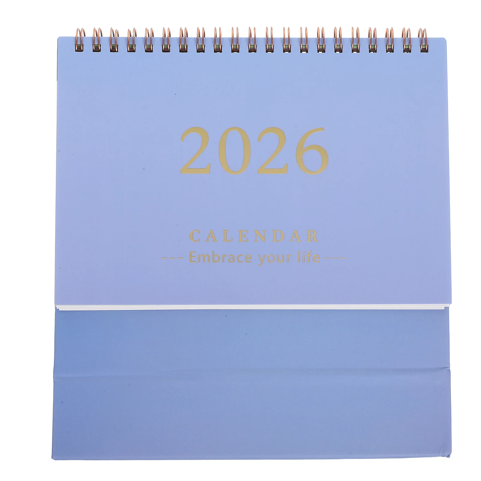 2026 Desk Calendar Small Desktop Calendars 2025-2026 Table Daily Notepad Pocket Planner Decorative Month Work Calendar Planner