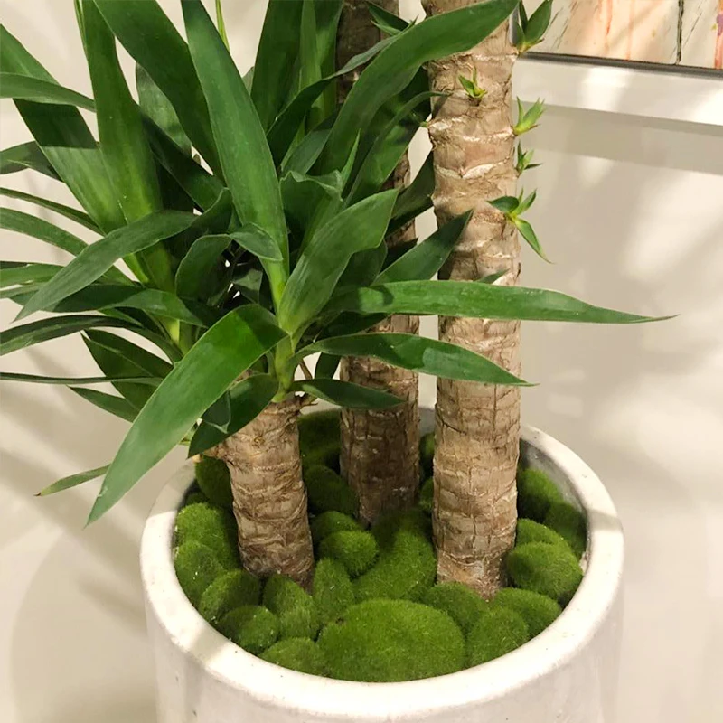 Green Artificial Moss Stone Decoration for Garden Fake Moss Ball Home/Office Wall Plant Panel Yard Paths Flower Pots Stone Decor garden decoration artificial moss rocks