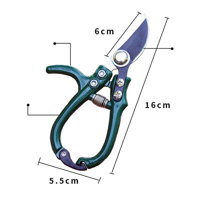 New curved mouth