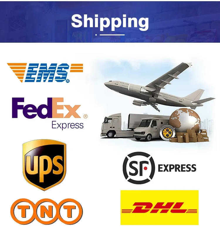 Écran tactile de 15,1 pouces, double écran tactile