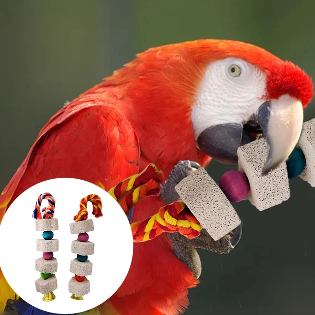 No Go Dog Spray Parrot Chewing Toy Bird Grinding Stone With Bell Lava Stone  Calcium Supplement Hard Dog Puzzles for Smart Dogs - AliExpress