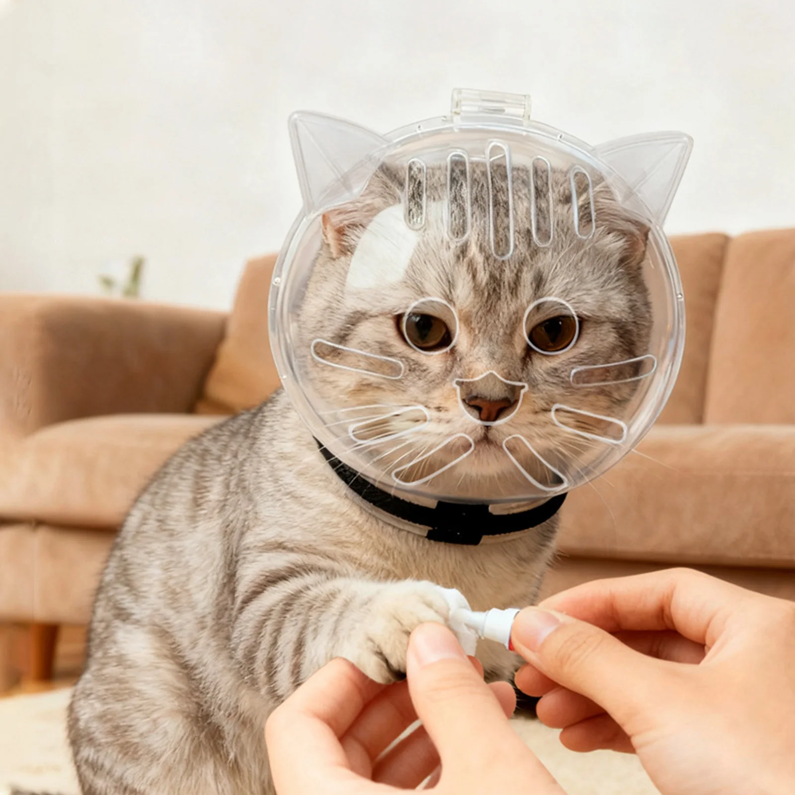 고양이 헬멧 투명 고양이 입 커버 새끼 고양이 통기성 안티 바이트 헬멧 (미용, 목욕, 면도 및 발톱 손질용)