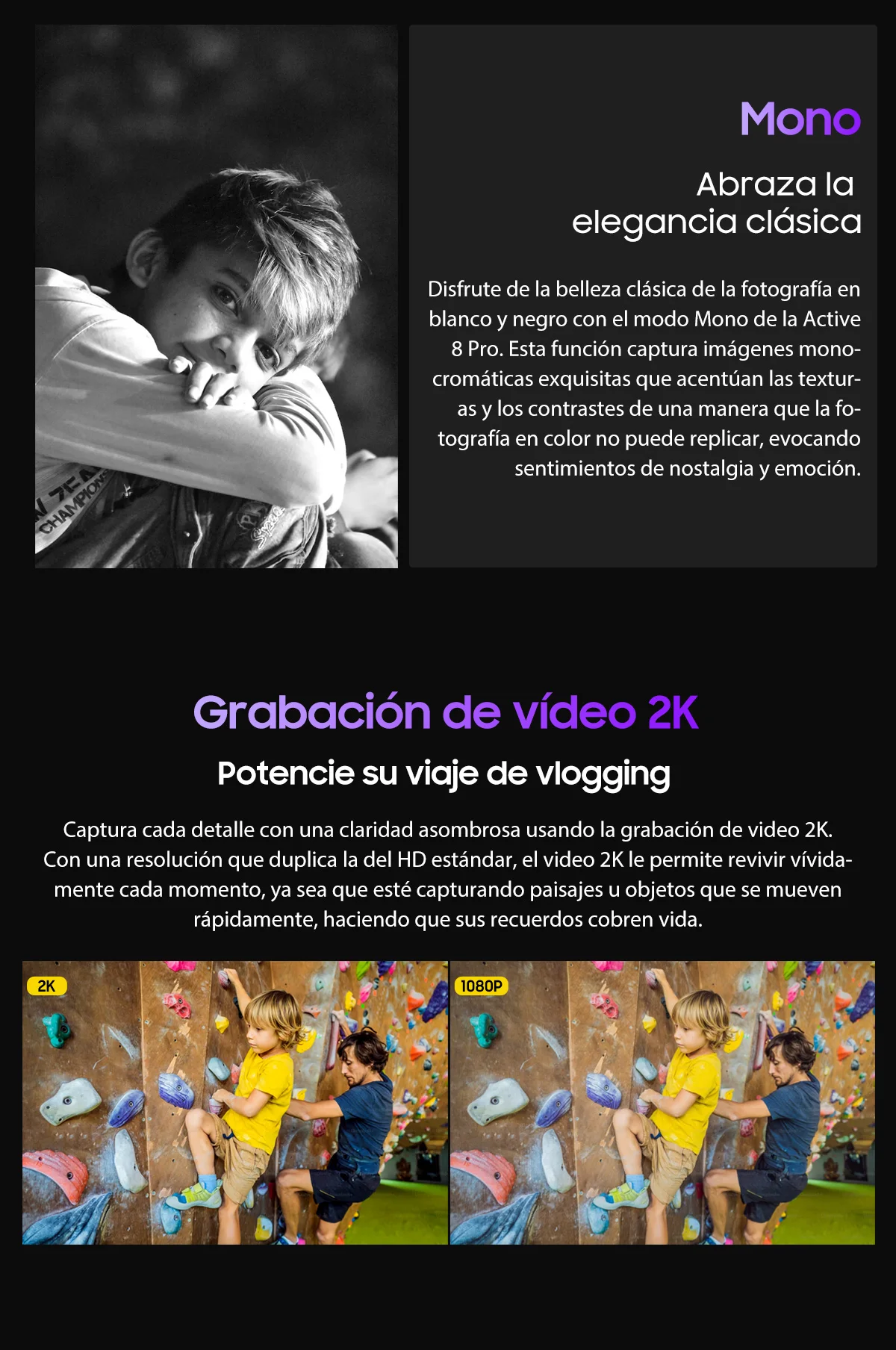 S50ee52218d75422c9921f21fac30f808R