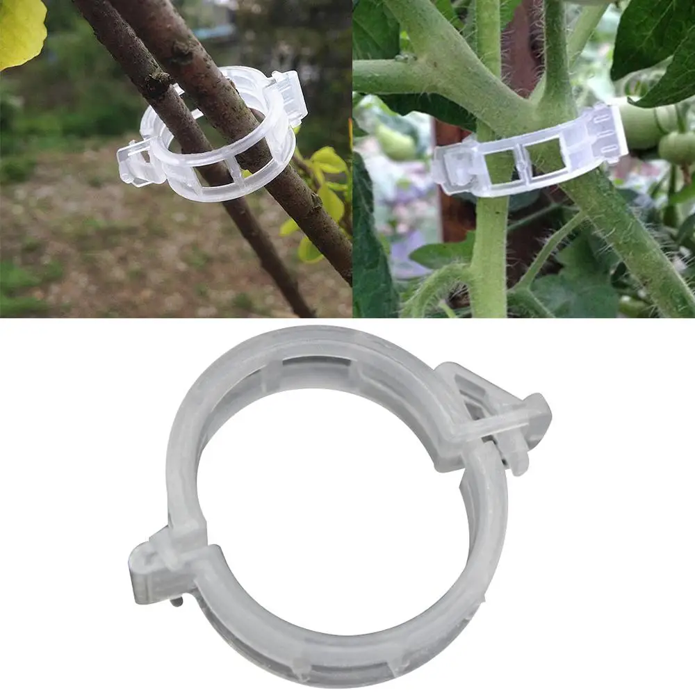 Durable-Clear-50Pcs-Garden-Plant-Tomato-Vine-Peppers-Support-Clips-Garden-Vegetables-For-Plant-Types-Plastic.jpg Tartós Tiszta 50Db Kerti Növényi Paradicsom Szőlő Paprika Támogató Klipek Zöldségek Növénytípusokhoz Műanyag Lógás - Image 2
