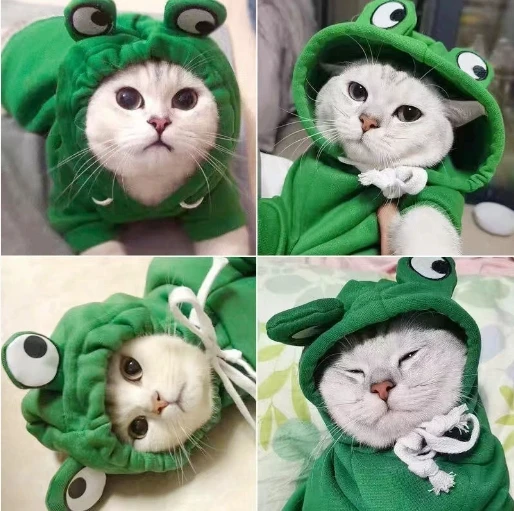 Cute Frog Pet Hoodie – Winter Warm Velvet Lined Dog & Cat Sweater