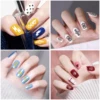 Biutee Nail Art Templates Stamping Plate Design Flower Animal Glass Temperature Lace Stamp Templates Plates Image Geometry Nail 6