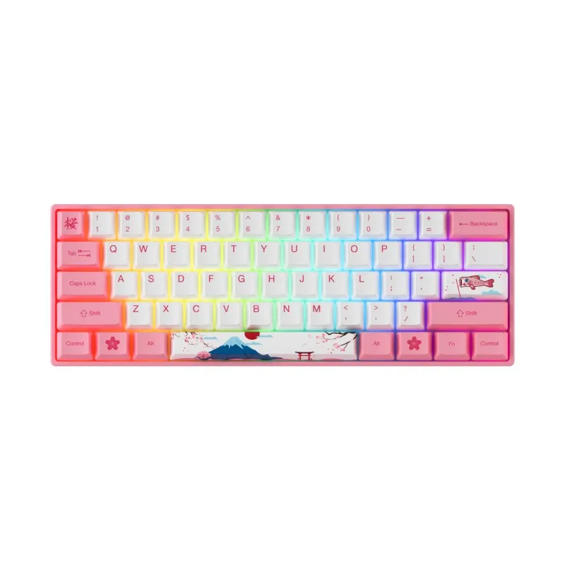 

Akko 3061S-HE World Tour Tokyo Wired Mechanical Keyboard RGB Magnetic Switch 8000Hz Polling Rate Rapid Trigger Gaming Keyboard