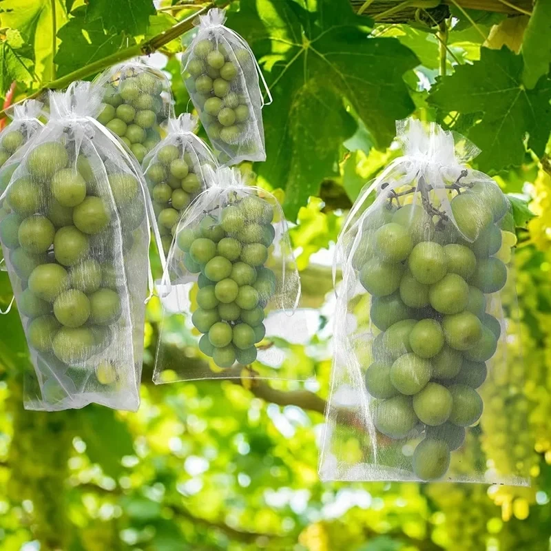Description Picture 6 of item50Pcs Bundle Mouth Organza Drawstring Garden Bird Proof Net Fruit Protection Bag Mesh Fruit Growing Bag