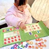 Montessori Numbers Decomposition Math Toys Magnetic Addition And Subtraction Arithmetic Learning Teaching Aids Educational Child 4