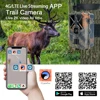 HC-935Plus 4G Hunting Trail Camera IP65 30MP 2K Outdoor Wildlife Tracking Camera Wildlife Monitoring Photo Traps Night Vision 5