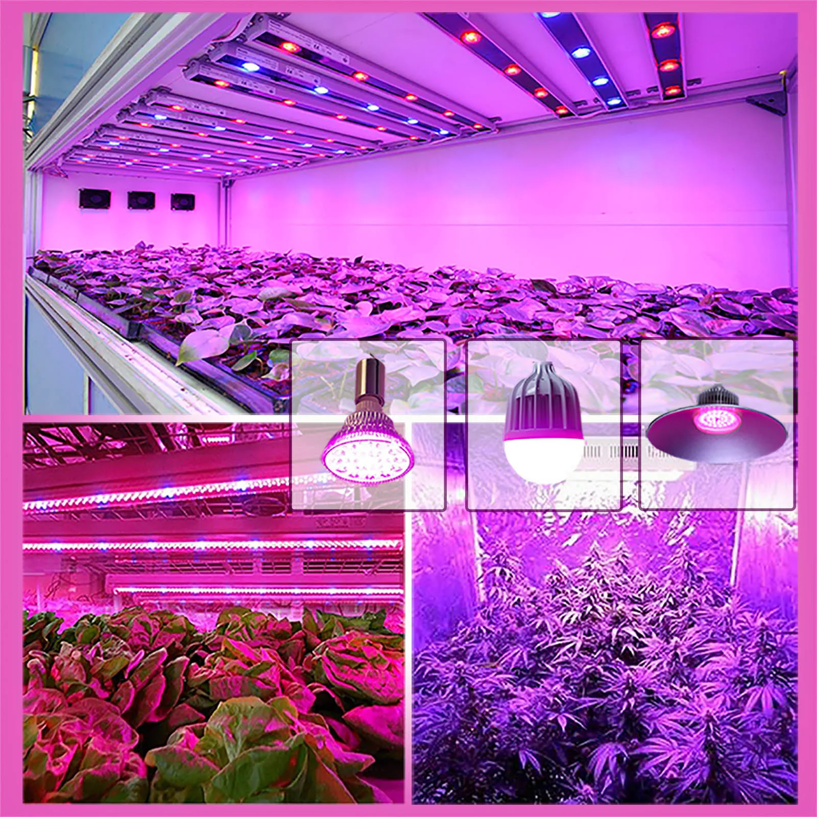 LED Ceramic Chip Grow Light AC220V 10W 20W 30W 50W1919mm For Indoor Vegetable Hydroponic Plant Growth Light Plant Growth Bulbs