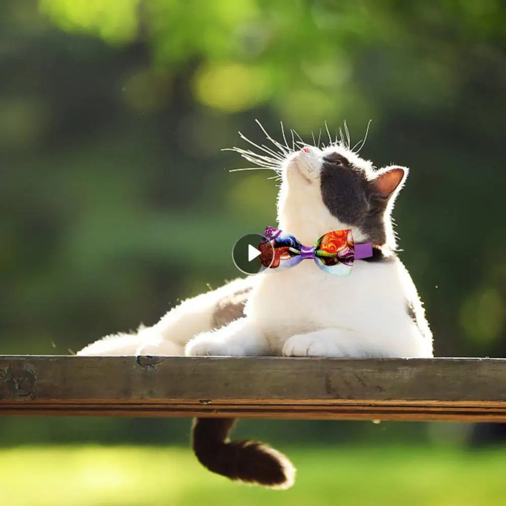 

Pet Headwear Cute Adjustable Comfortable Pet Decoration Accessories Dog Bowtie New Superior Quality For Pet Pet Supplies Pet Tie